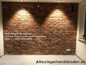 Ruinnen-Ziegelwand-Referenz aus Cottbus